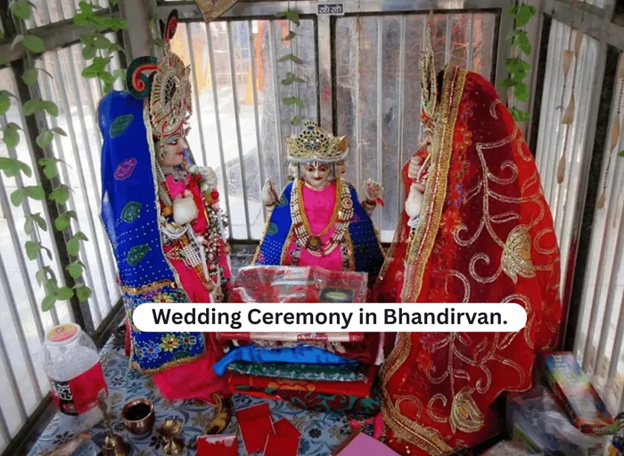 Best Guide in Vrindavan | Local Guide in Vrindavan